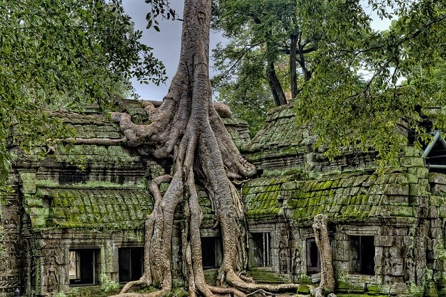 Szukasz enigmatycznych atrakcji? Jesteś wymagającym turystą? Poznaj Angkor Wat i Petra!