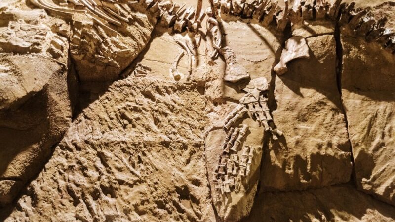 Nowy sezon odkryć archeologicznych przy ruinach zamku w Nowym Sączu