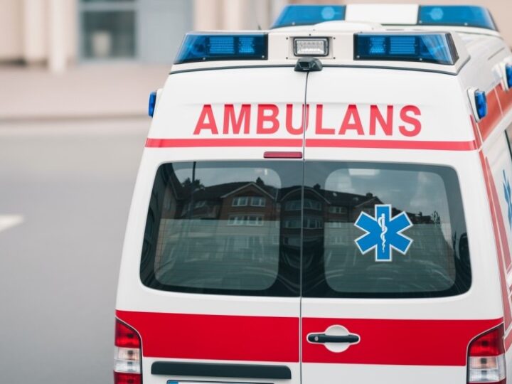 Psy ratownicze OSP Nowy Sącz triumfują na egzaminie w Żaganiu