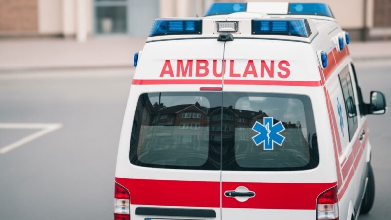 Psy ratownicze OSP Nowy Sącz triumfują na egzaminie w Żaganiu