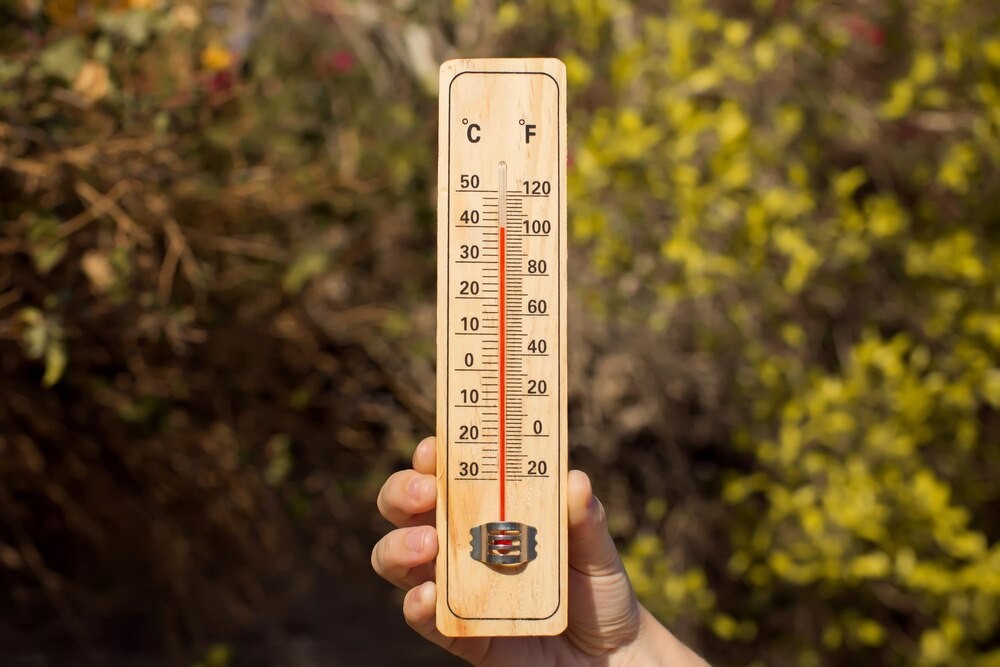 Słoneczna sobota w Nowym Sączu: Idealne warunki na spacer z temperaturą do 27°C!