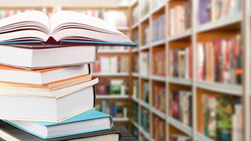 Mali odkrywcy odkrywają świat w bibliotece podczas fascynujących warsztatów