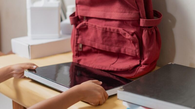 Odkryj leśną oazę edukacyjną w Nawojowej z MPK Nowy Sącz