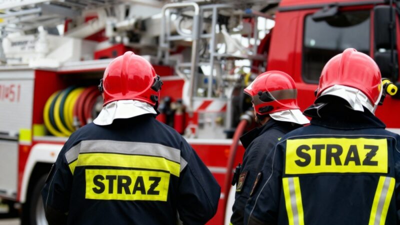 Otwarcie Ośrodka Animaloterapii w Rząsce: Pokazy psów ratowniczych i atrakcje Hubertusa 2025