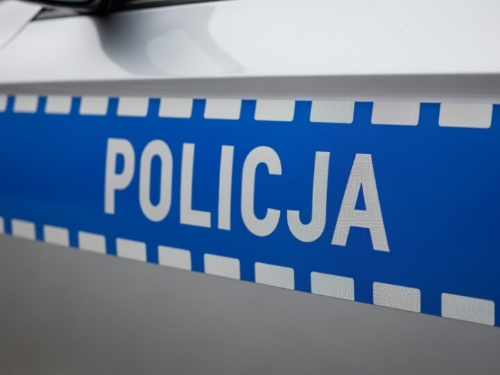 Akcja 'Stroisz 25′: Straż Leśna i Policja walczą z nielegalnym pozyskiwaniem gałązek