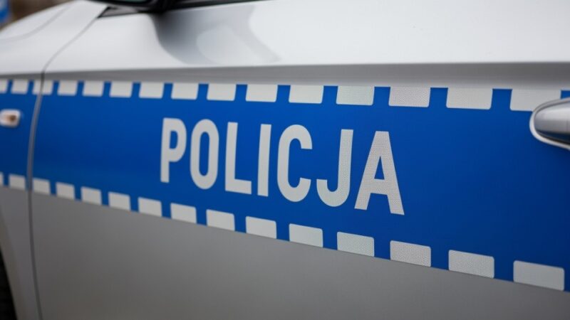 Akcja 'Stroisz 25′: Straż Leśna i Policja walczą z nielegalnym pozyskiwaniem gałązek