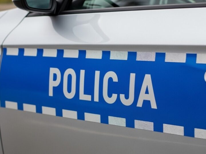 Przewodnicy z psami służbowymi w intensywnym szkoleniu w Małopolsce