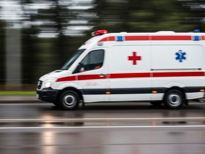 Burzowe dni w Nowym Sączu: strażacy walczą z powalonymi drzewami i kolizjami