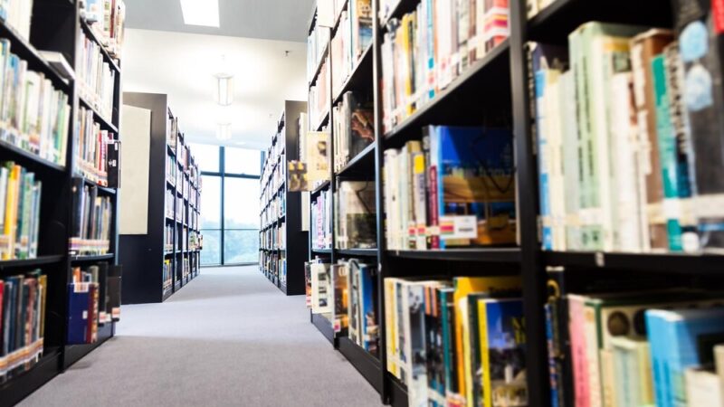 Muzyczne wieczory poezji: emocje i wrażenia w bibliotece