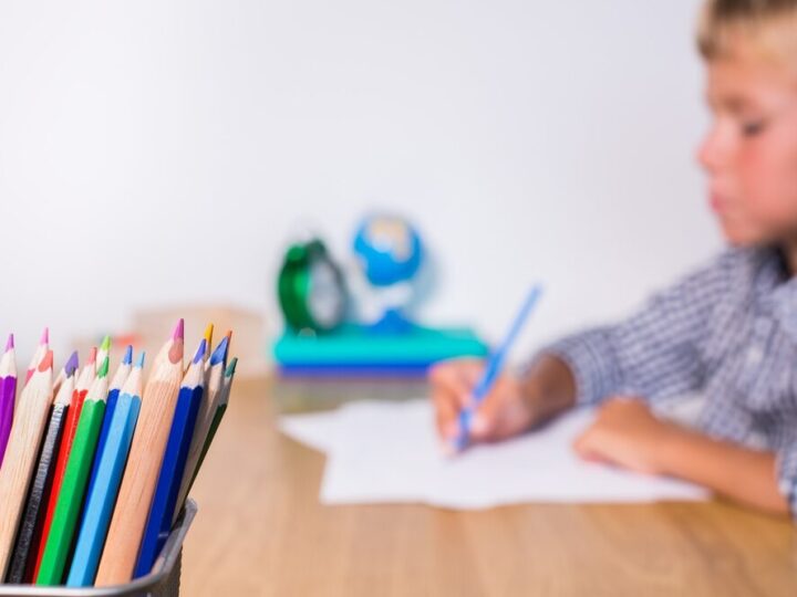 Malinowe Szkoły z Chełmca zdobywają uznanie na międzynarodowej scenie dzięki dr Agnieszce Orzeł