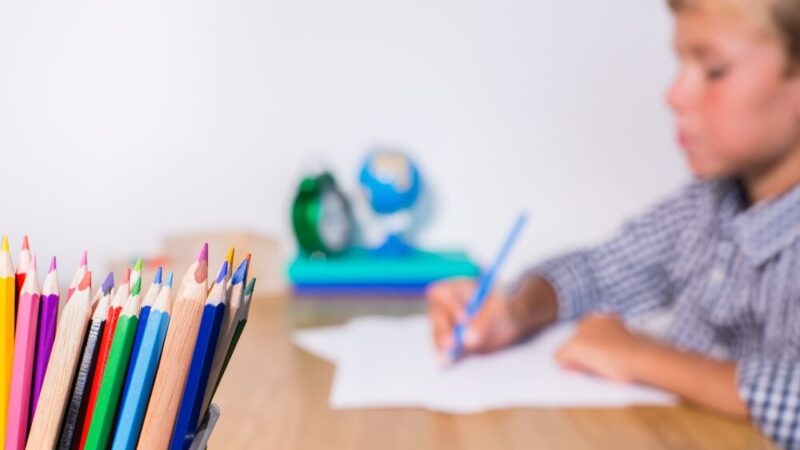 Malinowe Szkoły z Chełmca zdobywają uznanie na międzynarodowej scenie dzięki dr Agnieszce Orzeł