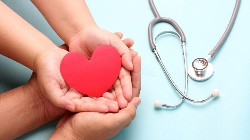 Jak jagody mogą poprawić zdrowie krwi i krążenie?