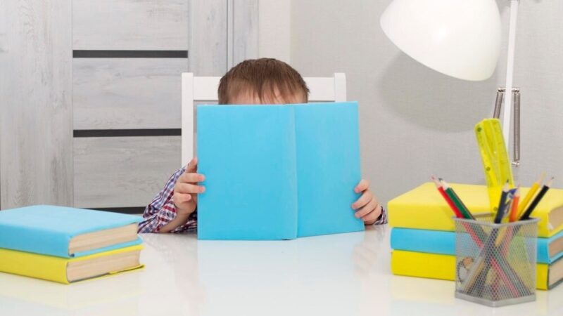 Nowy Sojusz Edukacyjny w Nowym Sączu: Starosta Współpracuje z Akademią WSB