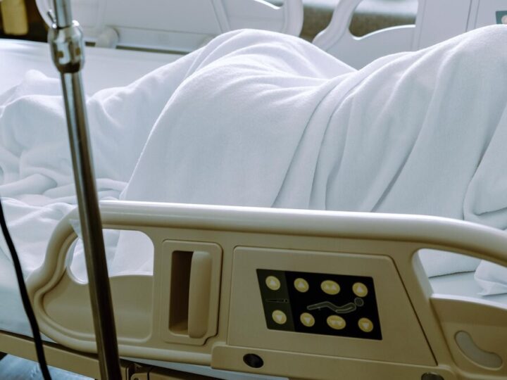 Chrońmy zwierzęta przed mrozem – nasza odpowiedzialność w zimowe dni