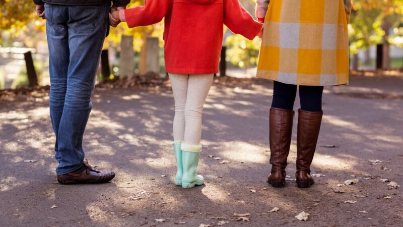 Obowiązki właścicieli psów: kluczowe zasady dla odpowiedzialnych opiekunów