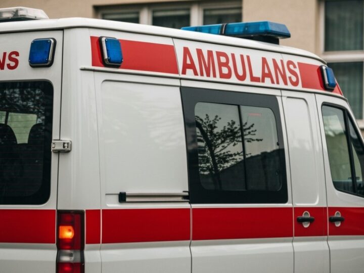 Psy ratownicze w akcji: dramatyczne poszukiwania po zawaleniu kamienicy w Krakowie