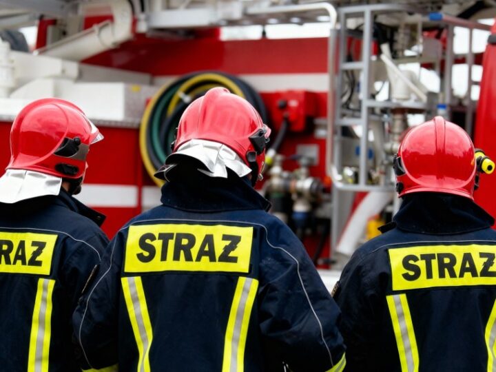 Pożegnanie z Dragonem: niezastąpionym psem ratownikiem OSP Nowy Sącz