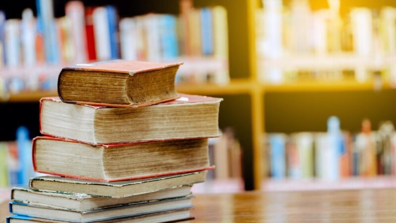 Grażyna Plebanek w Sądeckiej Bibliotece: odkrywanie tajemnic literackiego rzemiosła