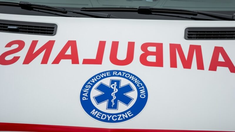 Kandydaci do jednostki: intensywne ćwiczenia z psami ratowniczymi 18 maja