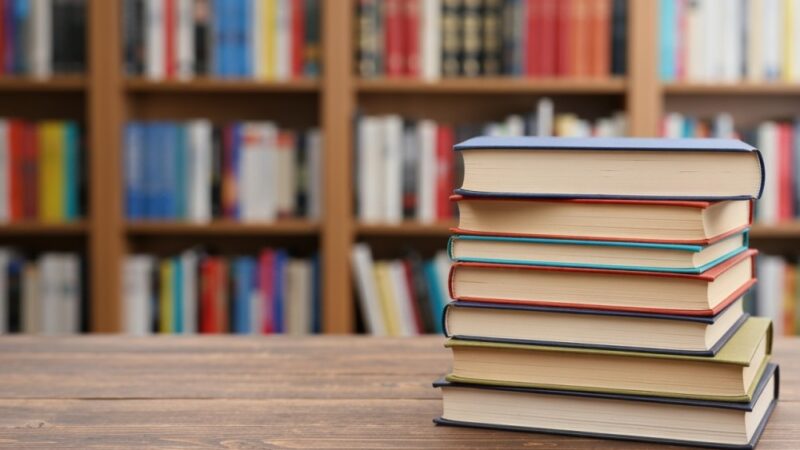 Agnieszka Płonka: O literackich pasjach i wspomnieniach w nowej powieści