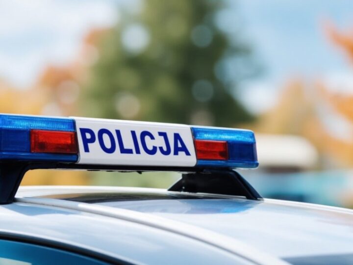 Syn aresztowany po brutalnym ataku na matkę mimo sądowych zakazów