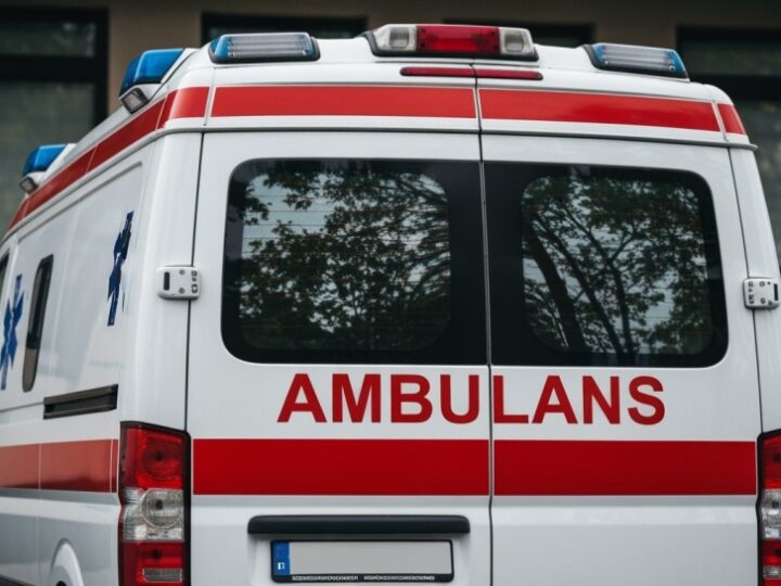 Agresywne psy w Tęgoborzy – apel o bezpieczeństwo dla mieszkańców i dzieci